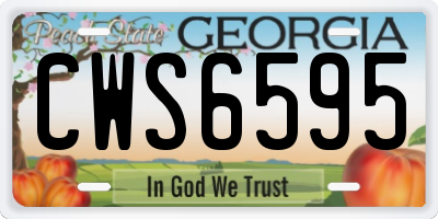 GA license plate CWS6595
