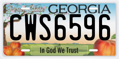 GA license plate CWS6596