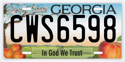 GA license plate CWS6598