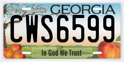 GA license plate CWS6599