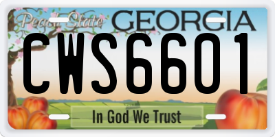 GA license plate CWS6601