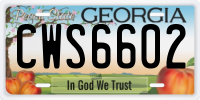 GA license plate CWS6602