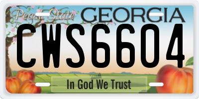 GA license plate CWS6604