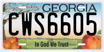 GA license plate CWS6605