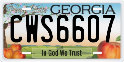 GA license plate CWS6607