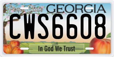 GA license plate CWS6608