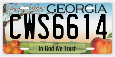 GA license plate CWS6614