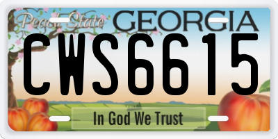 GA license plate CWS6615