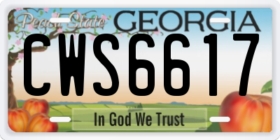 GA license plate CWS6617