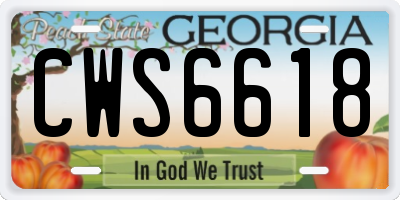 GA license plate CWS6618