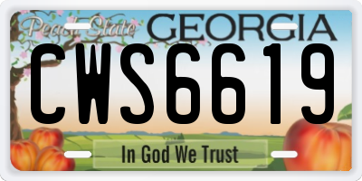 GA license plate CWS6619