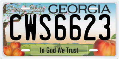 GA license plate CWS6623