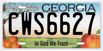 GA license plate CWS6627