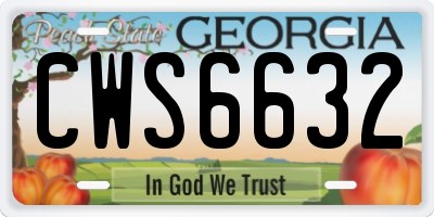 GA license plate CWS6632