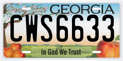 GA license plate CWS6633