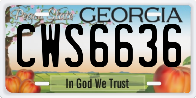 GA license plate CWS6636