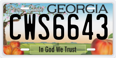GA license plate CWS6643