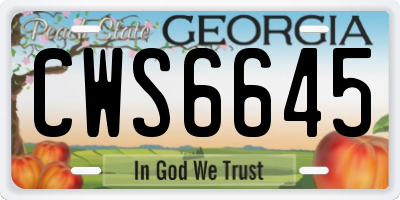 GA license plate CWS6645