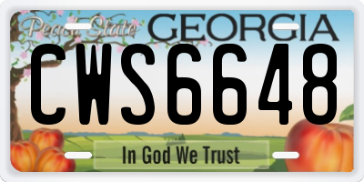 GA license plate CWS6648
