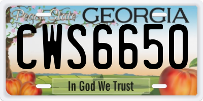 GA license plate CWS6650