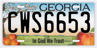GA license plate CWS6653