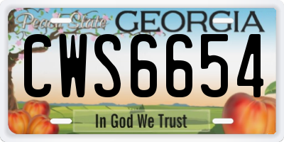 GA license plate CWS6654