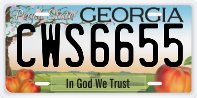 GA license plate CWS6655