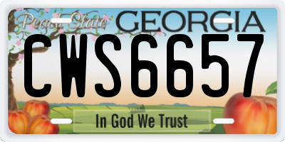 GA license plate CWS6657