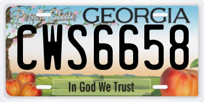 GA license plate CWS6658