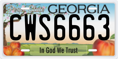 GA license plate CWS6663