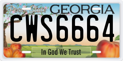 GA license plate CWS6664