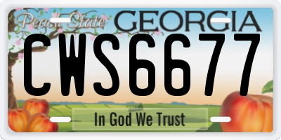 GA license plate CWS6677
