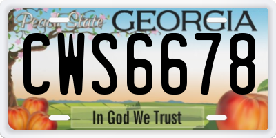 GA license plate CWS6678