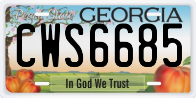 GA license plate CWS6685