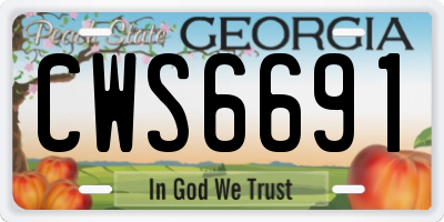 GA license plate CWS6691