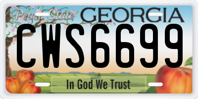 GA license plate CWS6699