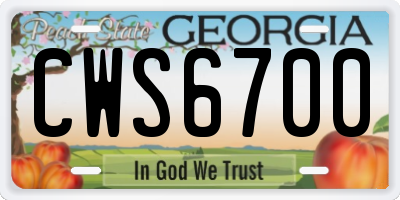 GA license plate CWS6700