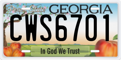 GA license plate CWS6701