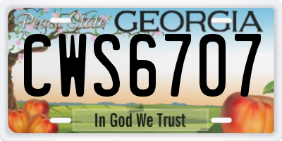 GA license plate CWS6707