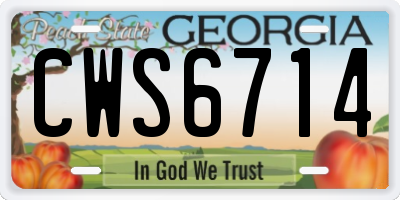 GA license plate CWS6714