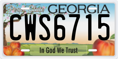 GA license plate CWS6715