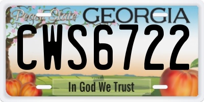 GA license plate CWS6722