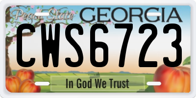 GA license plate CWS6723