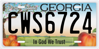 GA license plate CWS6724