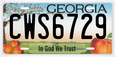 GA license plate CWS6729