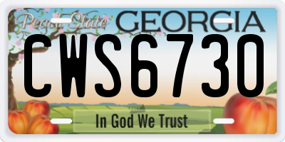GA license plate CWS6730