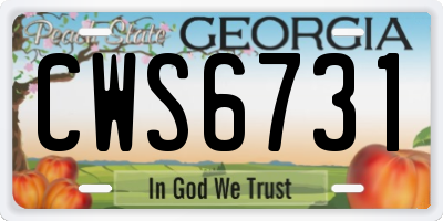 GA license plate CWS6731