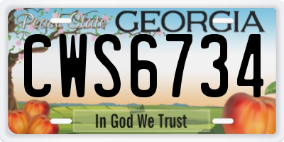 GA license plate CWS6734
