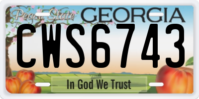 GA license plate CWS6743