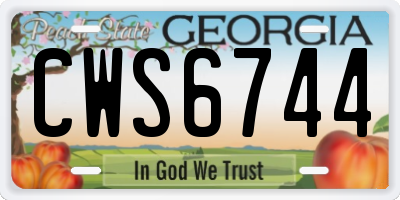 GA license plate CWS6744